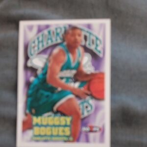 Charlotte Hornets Basketball Card